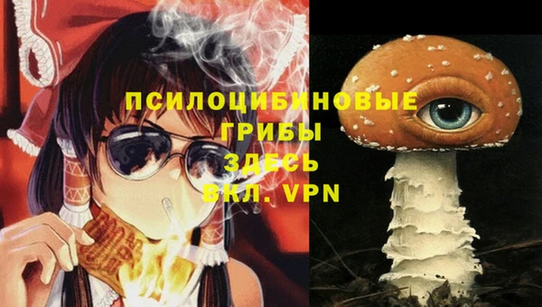 2c-b Михайлов