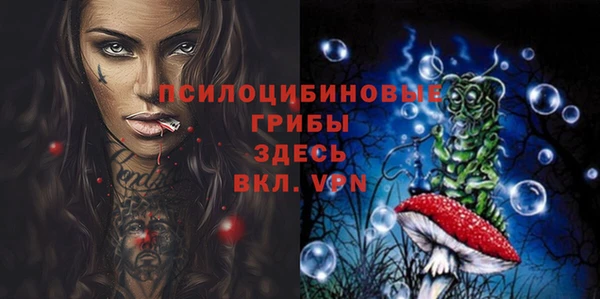 2c-b Михайлов