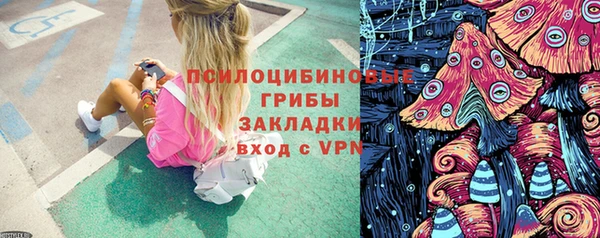 мяу мяу мука Абаза