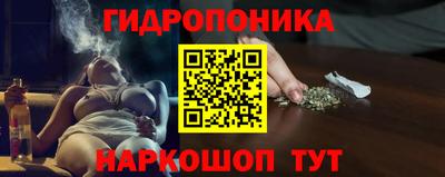 apvp Пушкино