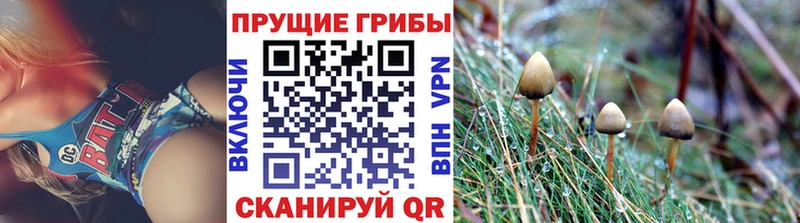 ссылка на мегу ONION  Сокол  нарко площадка формула  Псилоцибиновые грибы прущие грибы 