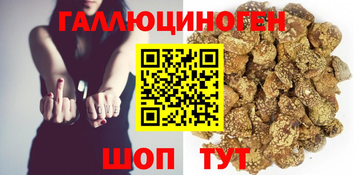 Сокол  Галлюциногенные грибы GOLDEN TEACHER  купить   Вход с VPN 