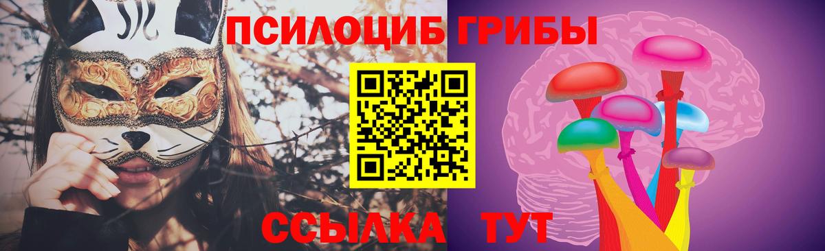Галлюциногенные грибы прущие грибы Сокол